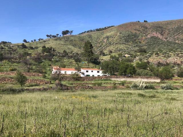 Casa-Finca El Maipez De Tejeda Las Palmas Exterior photo
